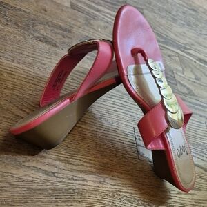 🪷Impo 6 1/2M Pink Gracine